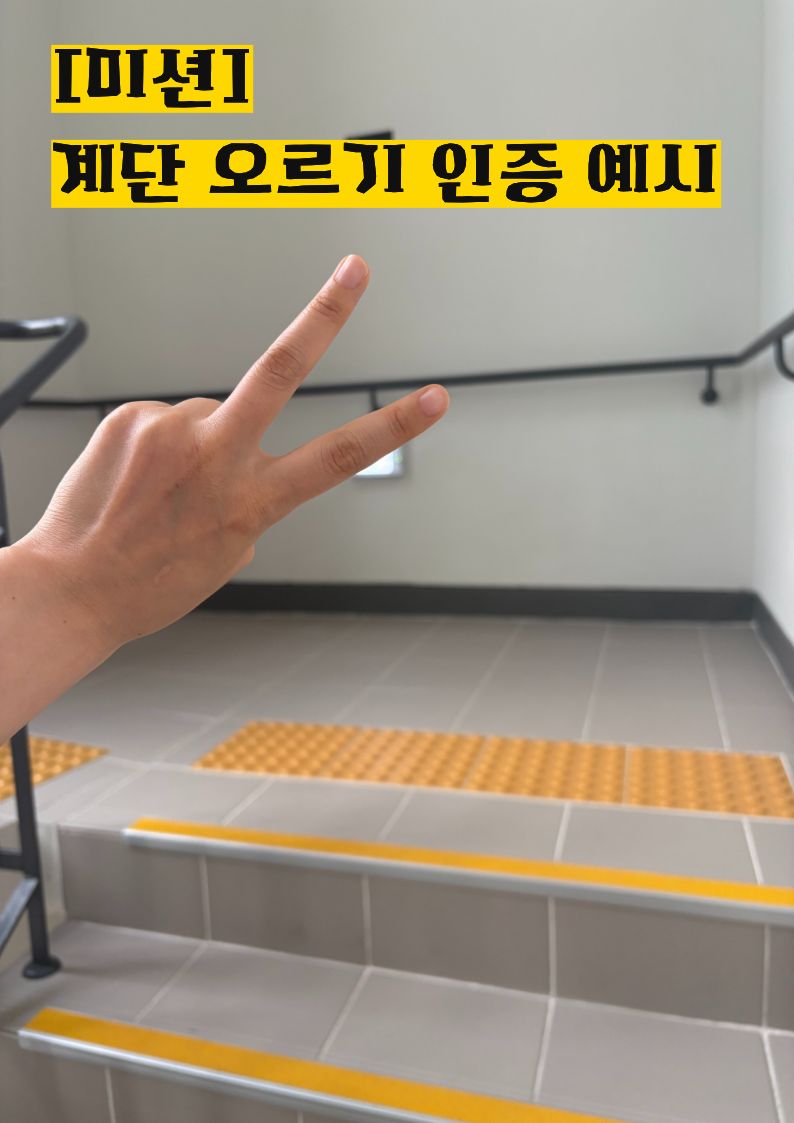 미션 유의사항