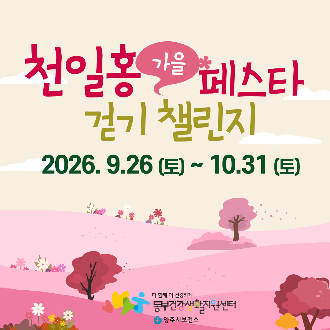 천일홍 가을 페스타 걷기 챌린지🌸